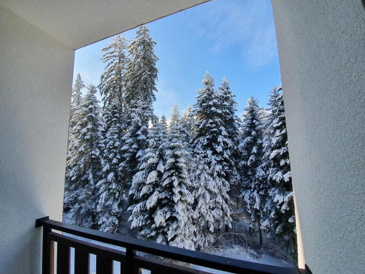 Pinewood Ang Luxurious Apartment A43, Borovets Gardens Dış mekan fotoğraf