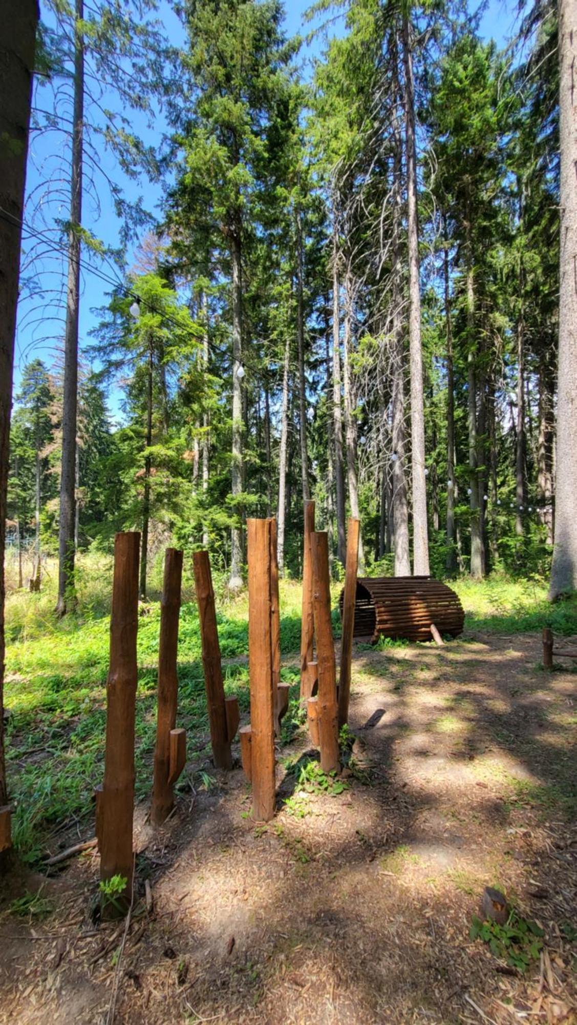 Pinewood Ang Luxurious Apartment A43, Borovets Gardens Dış mekan fotoğraf