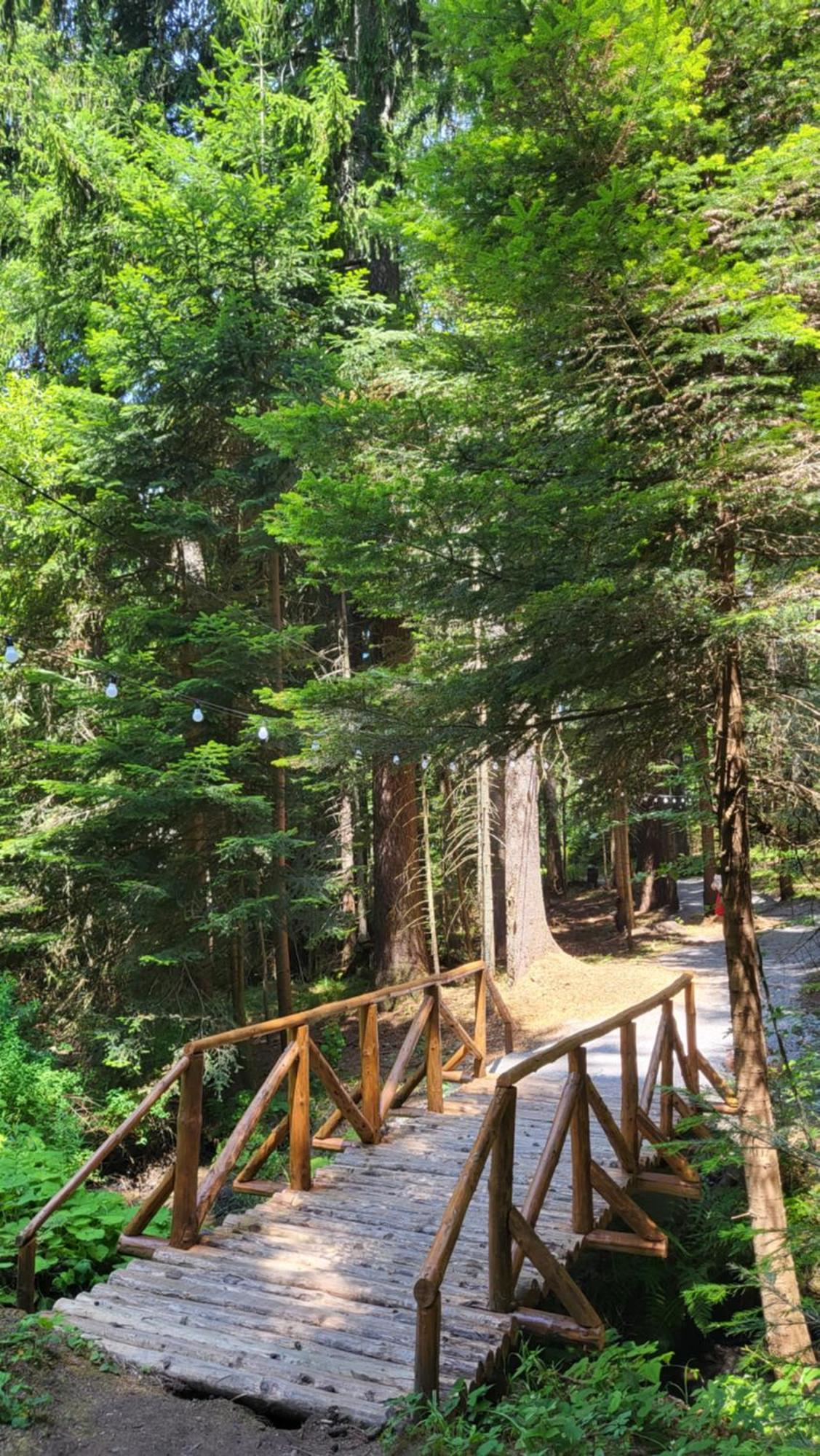 Pinewood Ang Luxurious Apartment A43, Borovets Gardens Dış mekan fotoğraf