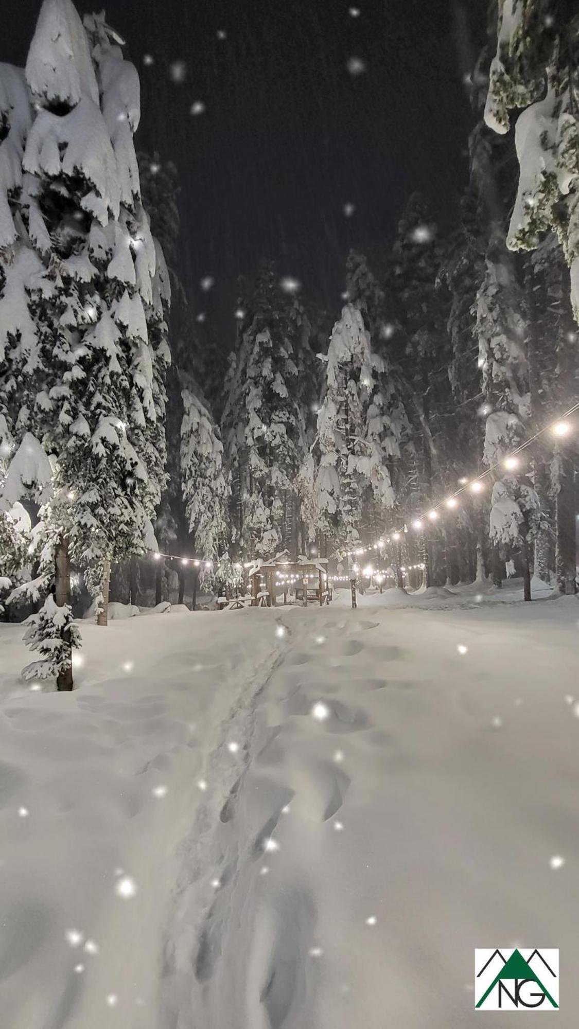 Pinewood Ang Luxurious Apartment A43, Borovets Gardens Dış mekan fotoğraf